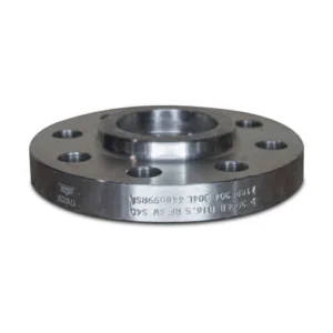 flanges 19